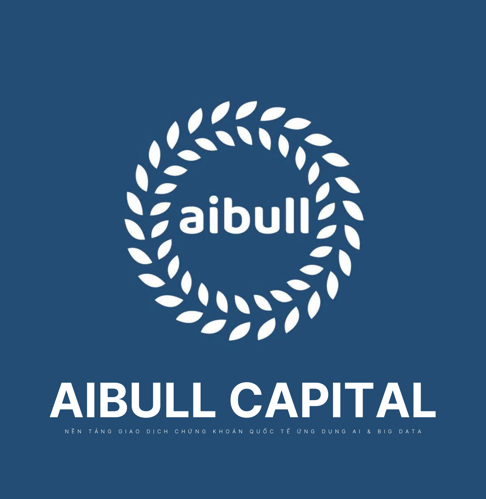 AIBULL CAPITAL Team